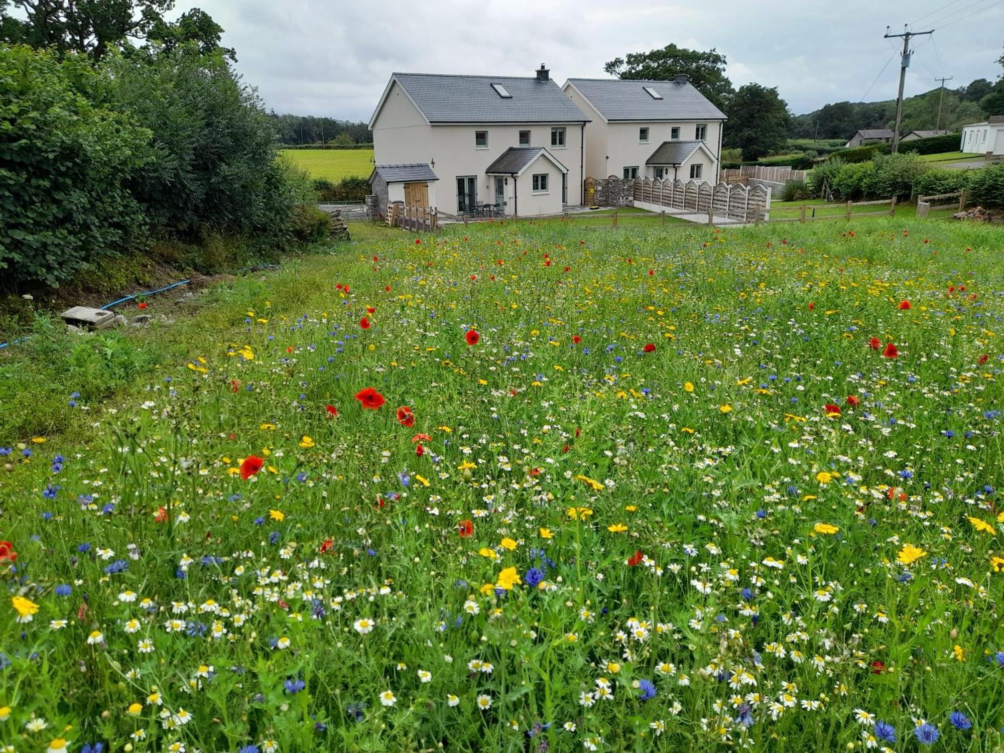 Family Country Cottage With Stunning Mountain Views Myddfai Bagian luar foto